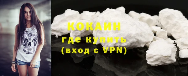 мяу мяу мука Аркадак