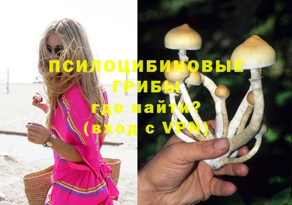 МДПВ Армянск