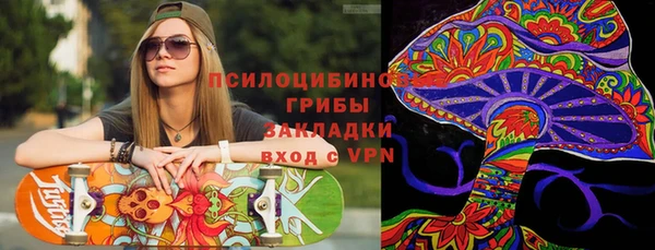 спиды Арсеньев