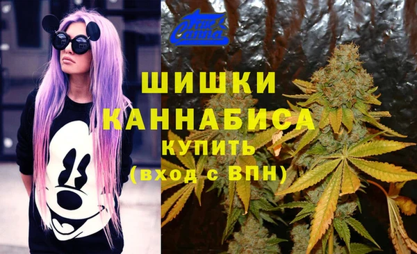 мяу мяу мука Аркадак