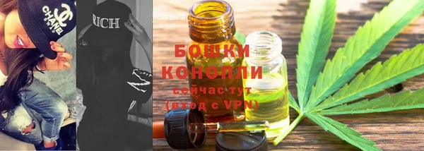 мяу мяу мука Аркадак