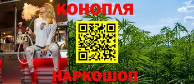 сатива Краснокаменск