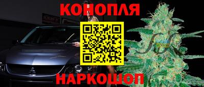 сатива Краснокаменск