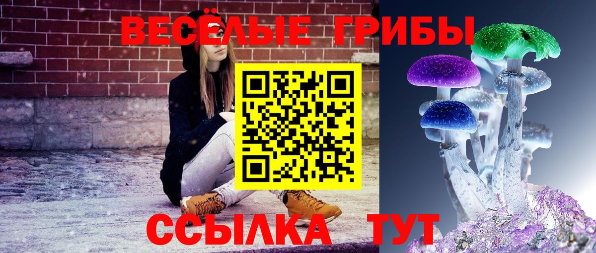 Псилоцибиновые грибы MAGIC MUSHROOMS Казань